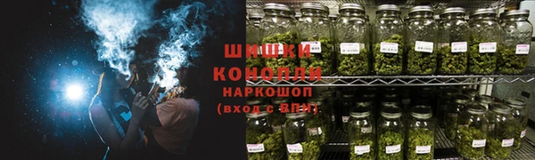 молекула духа Навашино
