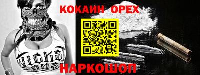 гидра Будённовск