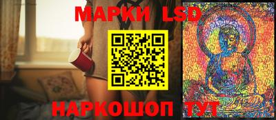 гидра Будённовск