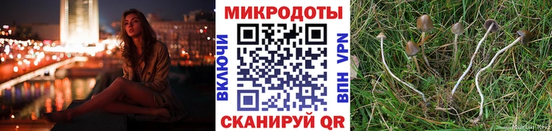 Псилоцибиновые грибы MAGIC MUSHROOMS  закладка  Качканар 