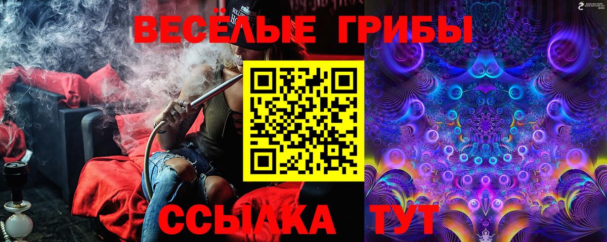 Псилоцибиновые грибы Psilocybine cubensis  Псилоцибиновые грибы прущие грибы  Вход с VPN  Качканар 